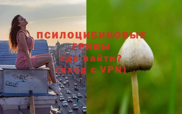 винт Беломорск